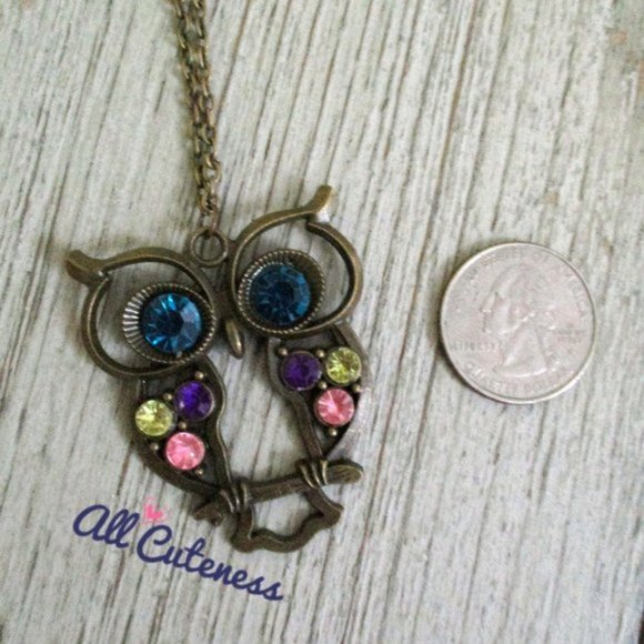 🎀 Owl Necklace (NWOT READ) - Picture 3 of 4